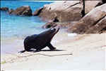 New Zealand - Abel Tasman NP